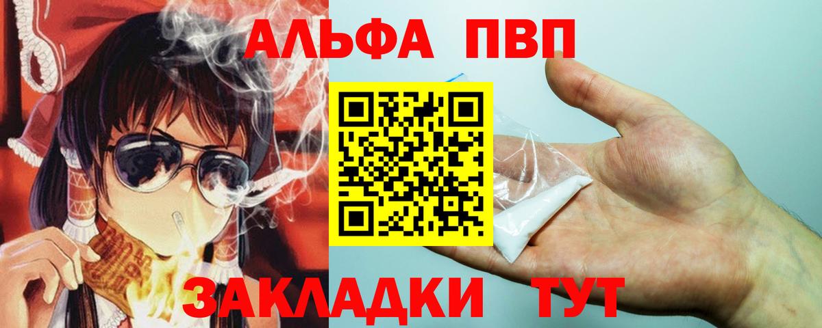 Alfa_PVP СК КРИС Горно-Алтайск