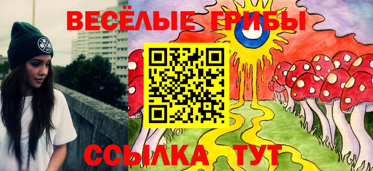 Галлюциногенные грибы мухоморы Горно-Алтайск