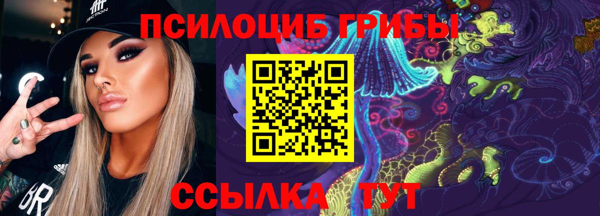 Галлюциногенные грибы Psilocybe  Вход с VPN  Горно-Алтайск 